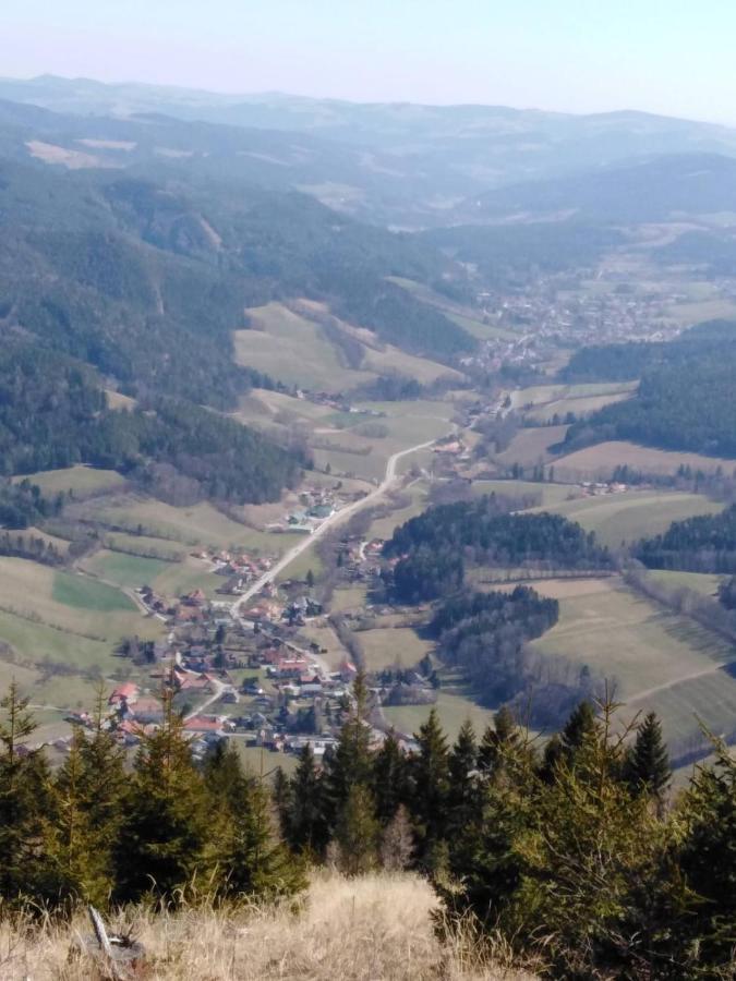 Ferienhaus Bauer Wohnung 2 Trattenbach  Екстериор снимка