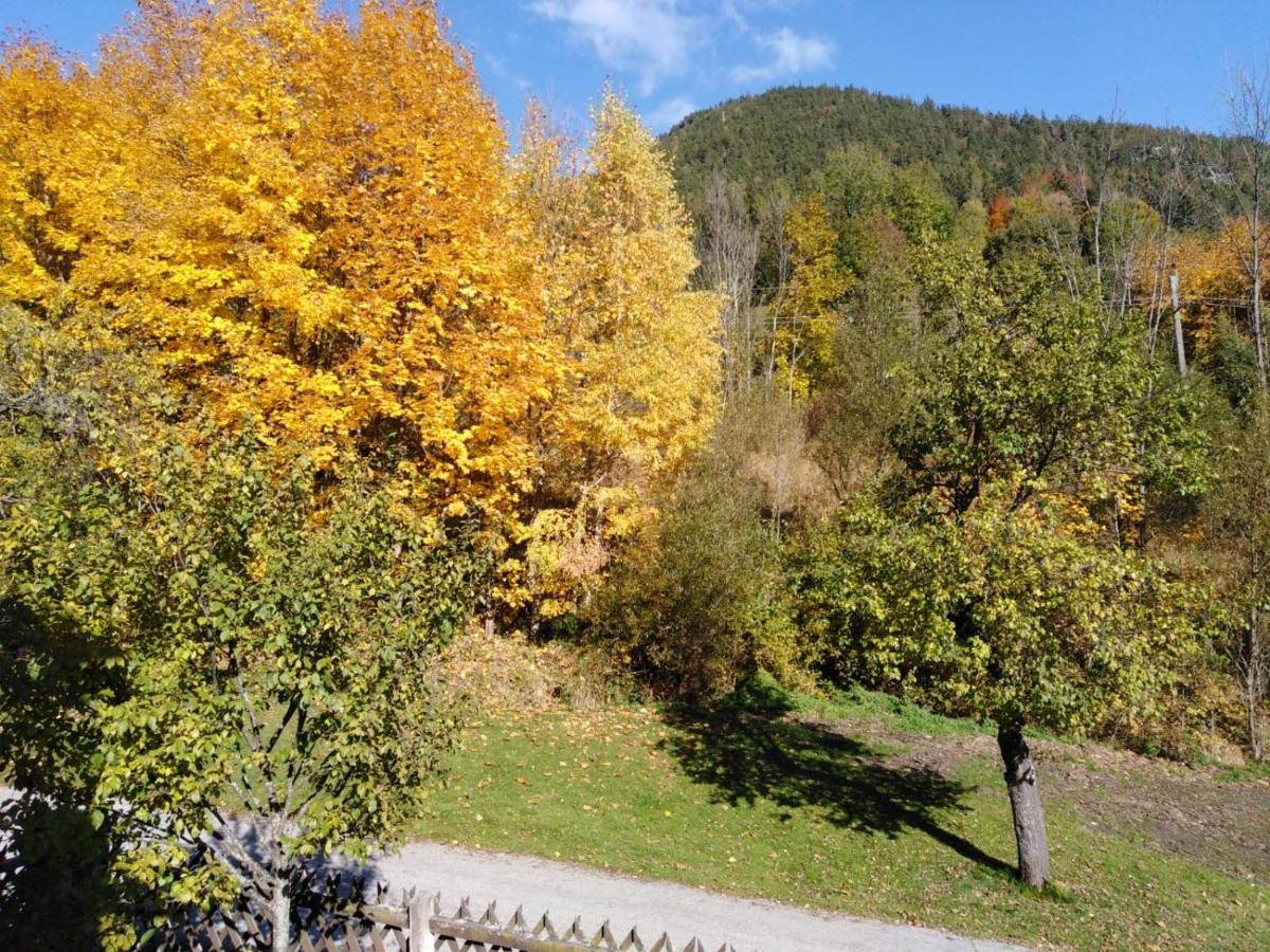 Ferienhaus Bauer Wohnung 2 Trattenbach  Екстериор снимка