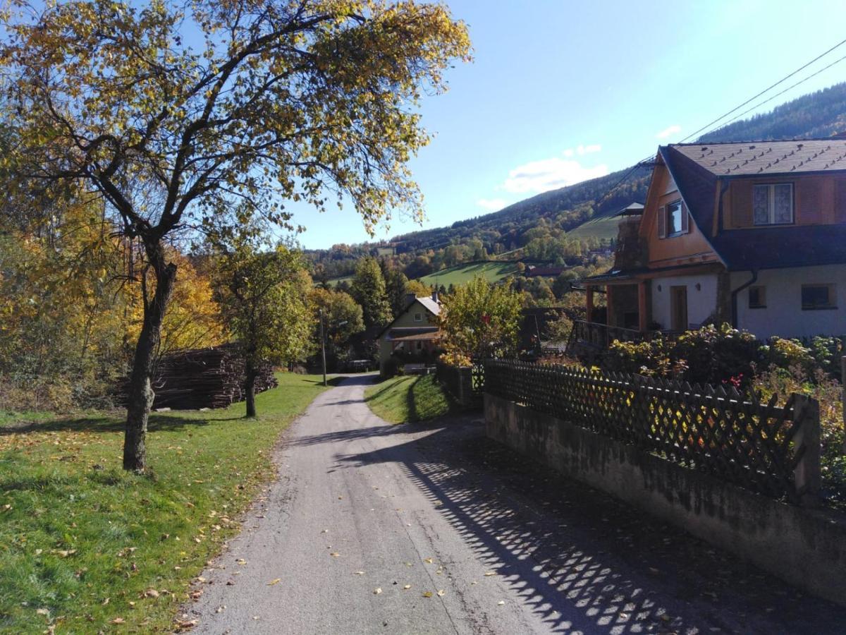 Ferienhaus Bauer Wohnung 2 Trattenbach  Екстериор снимка