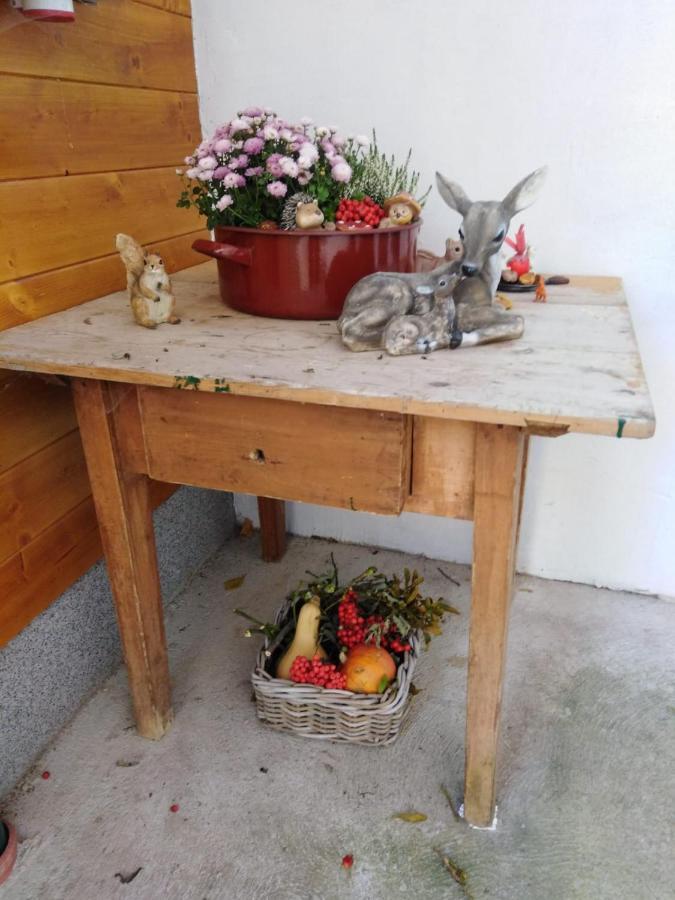 Ferienhaus Bauer Wohnung 2 Trattenbach  Екстериор снимка